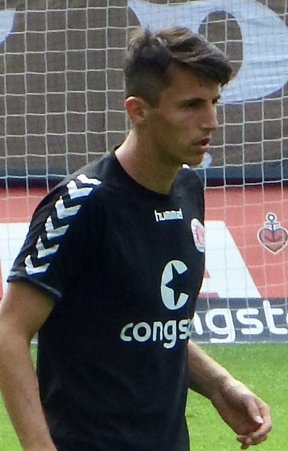Ante Budimir, press photo