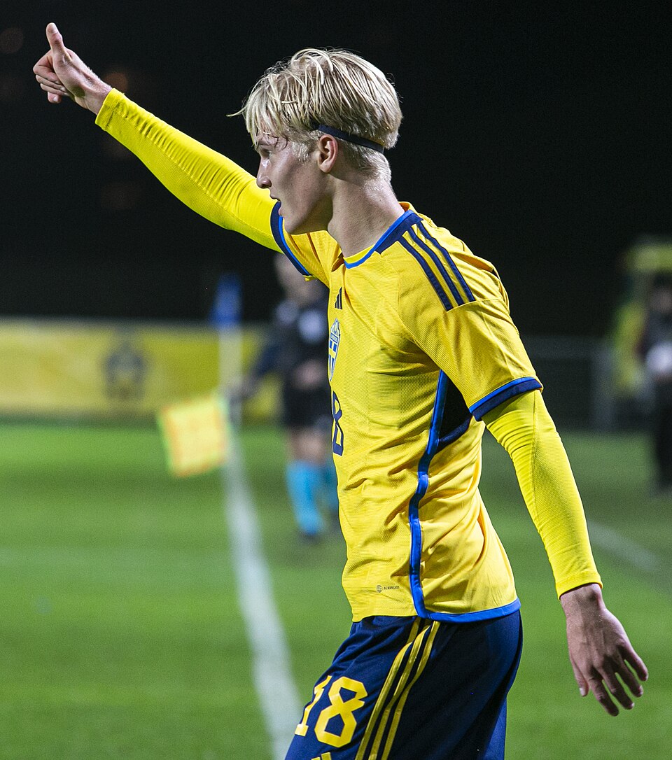 Lucas Bergvall, press photo