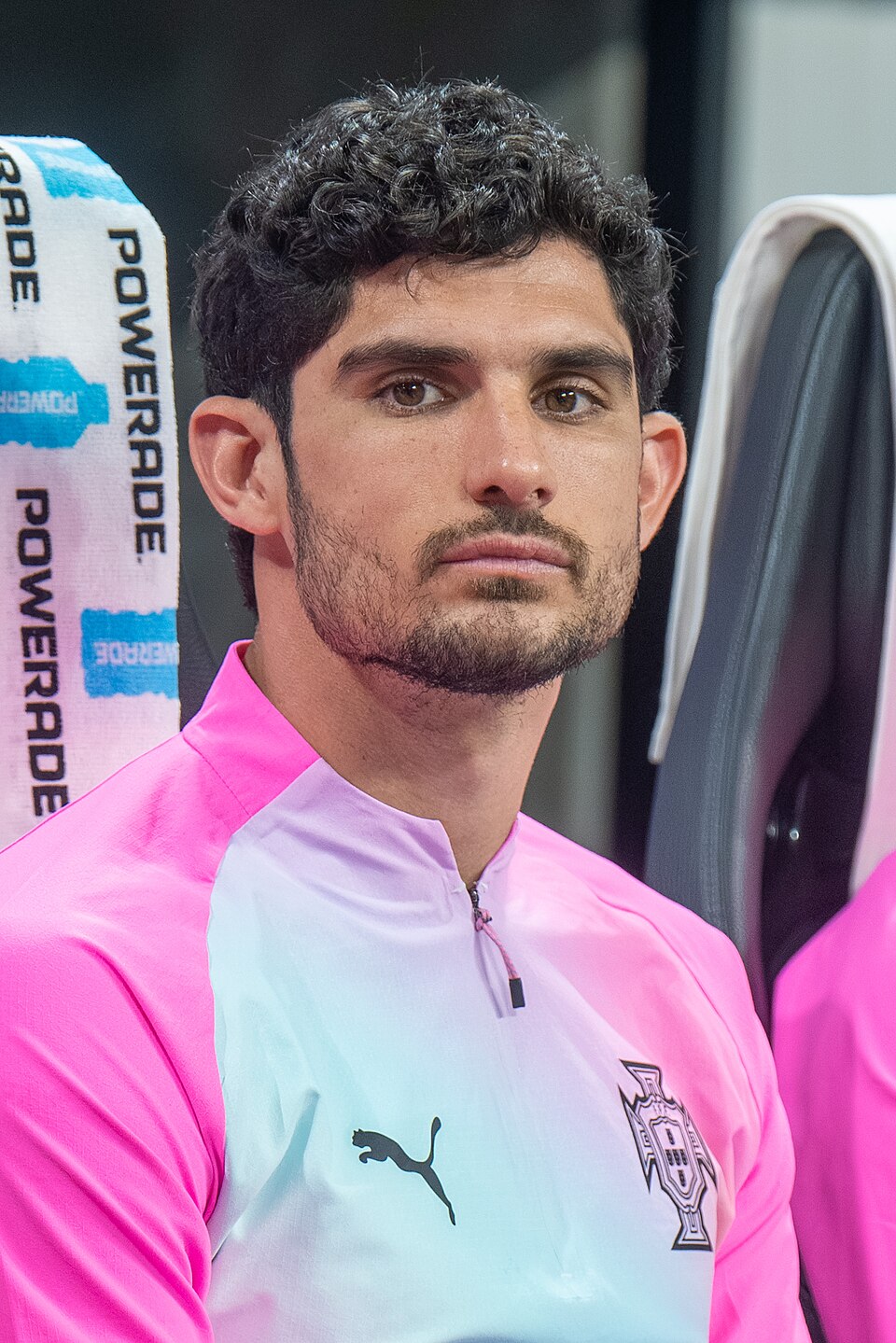 Gonçalo Guedes, press photo