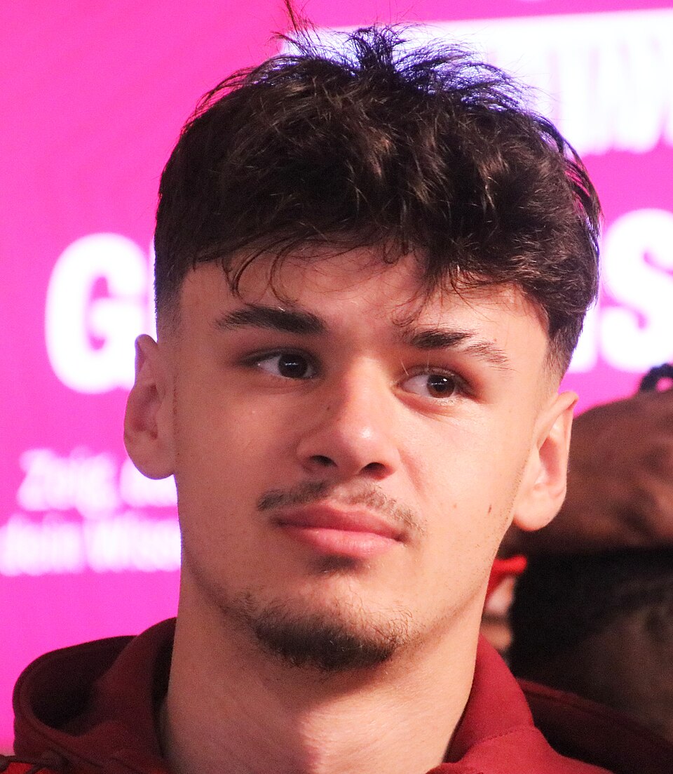 Kerim Alajbegovic, press photo