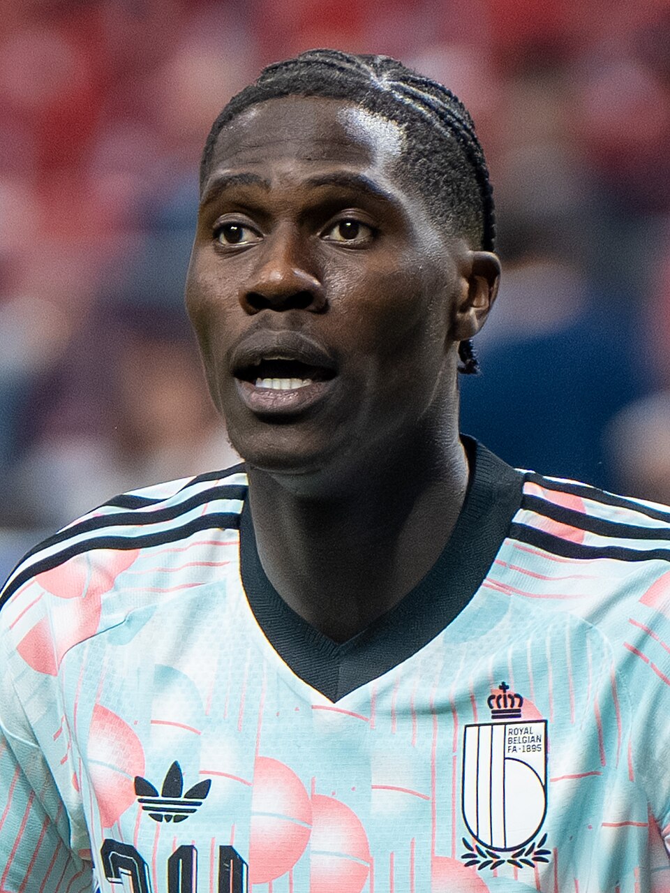 Amadou Onana, press photo