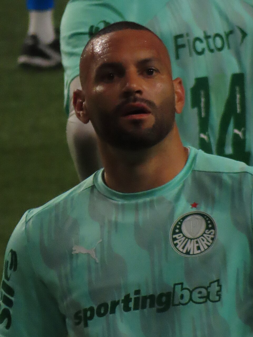 Weverton, press photo