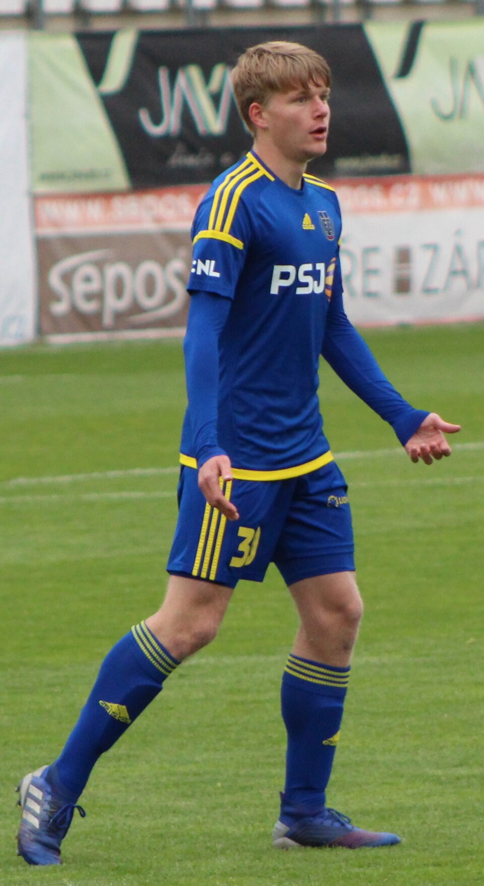 Pavel Sulc, press photo