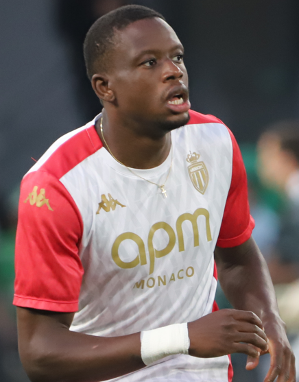 Denis Zakaria, press photo